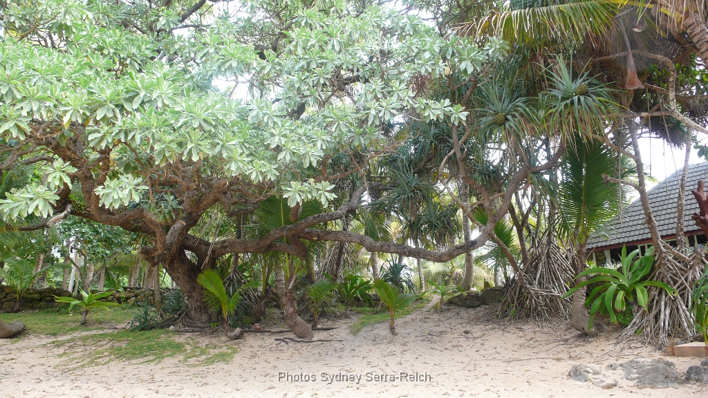 Plage Saint Gabriel pres de Touaourou .JPG - Plage Saint-Gabriel près de Touaourou. Août 2014